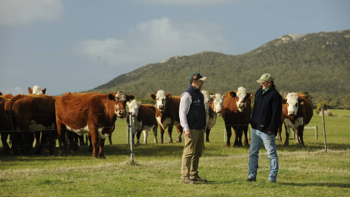 Flinders Island beef supplier Scott Anderson talks with JBS livestock manager Tasmania Mathew Bosworth.
 