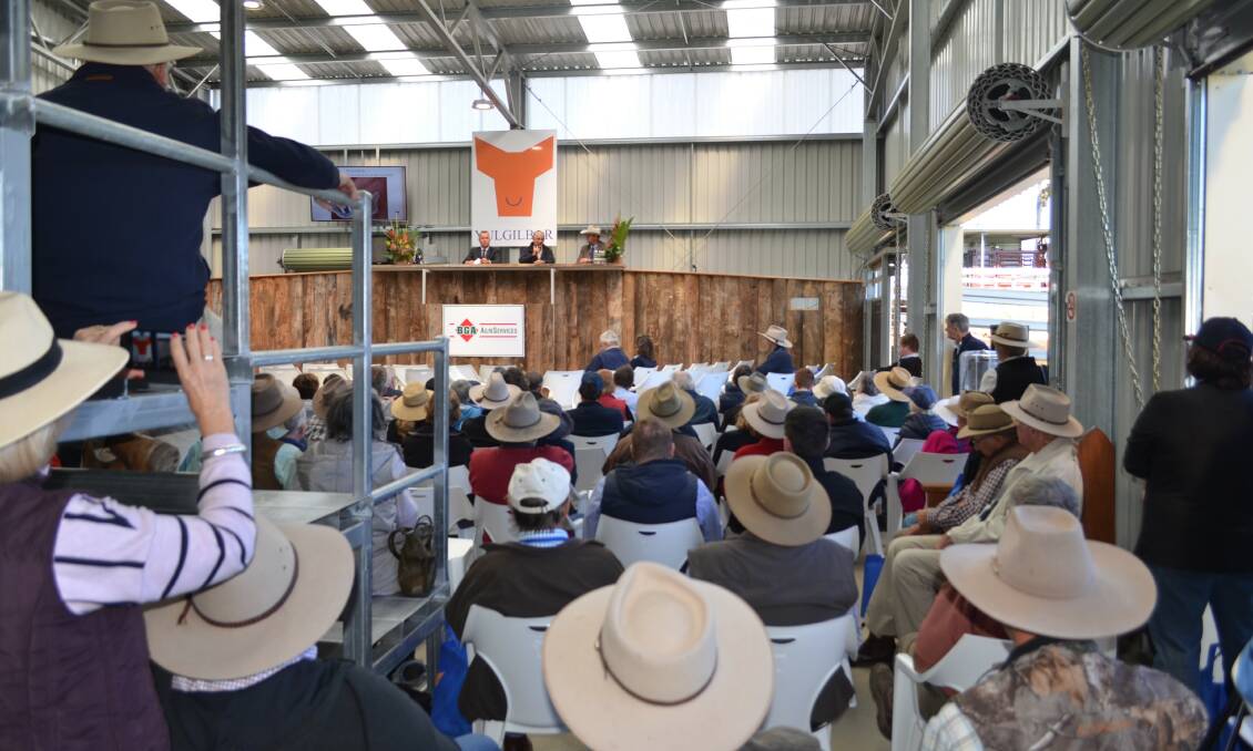 Beef producers at the Yulgilbar Beef Expo and Forum in Northern NSW on Friday. Photo: Kirra Bogan