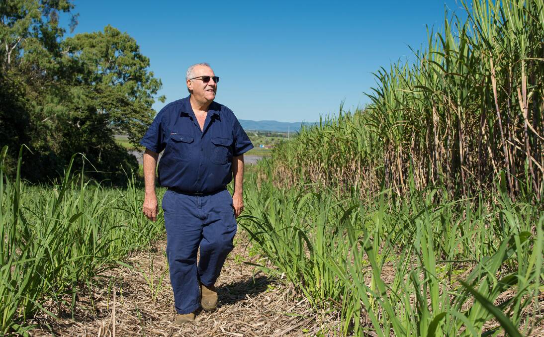 GOOD GROWING SEASON: Mackay district cane grower Paul Schembri has welcomed news of upward movement in the benchmark sugar price.