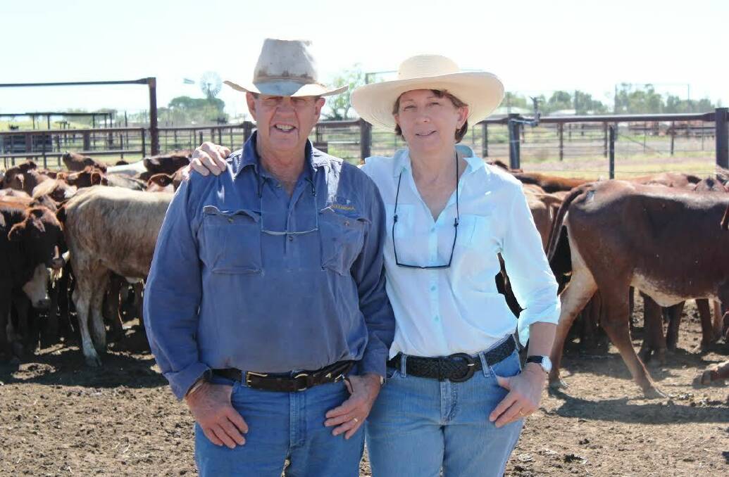 EARLY ADOPTERS: Ross and Robyn Peatling with grower heifers on Alexandria Station in the Northern Territory.