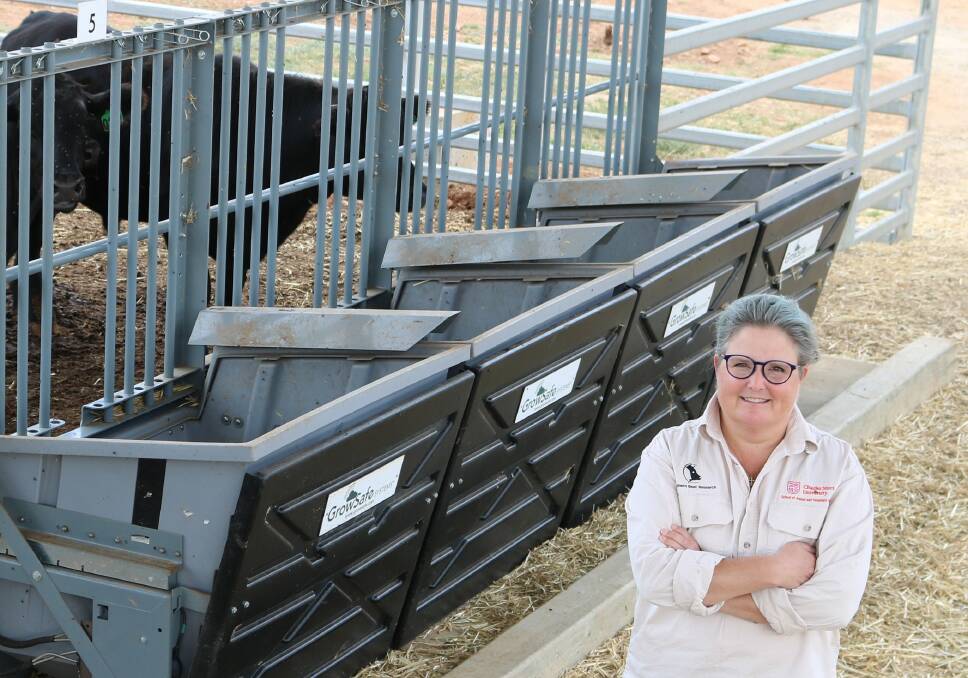 PARADIGM SHIFT: Associate Professor Jane Quinn, from the School of Agricultural, Environmental and Veterinary Science at Charles Sturt University, is researching disease diagnosis in feedlot cattle. PHOTO: Emily Malone
