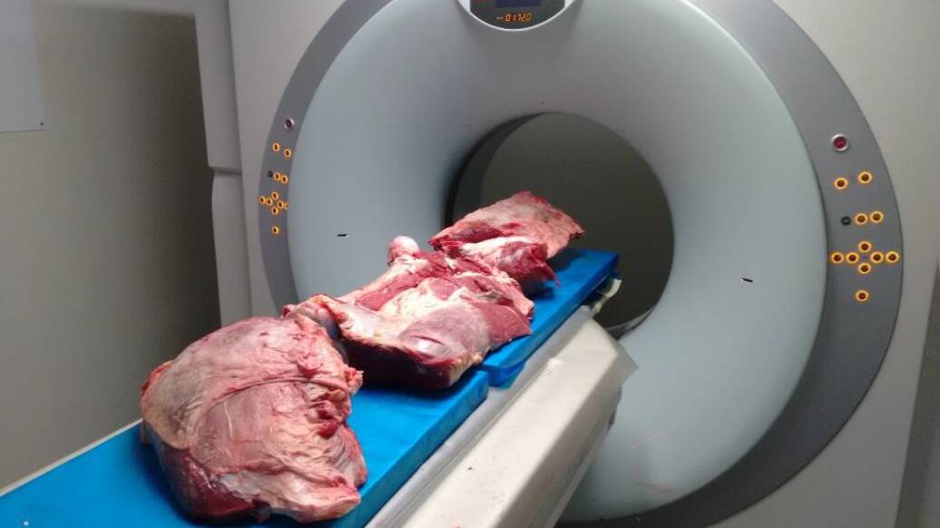 CT scanning of meat.