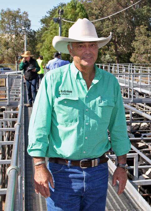 INSIGHTS: Nutrien's region livestock manager for WA Leon Giglia speaks about what 2020's flow of cattle from west to east means going forward.
