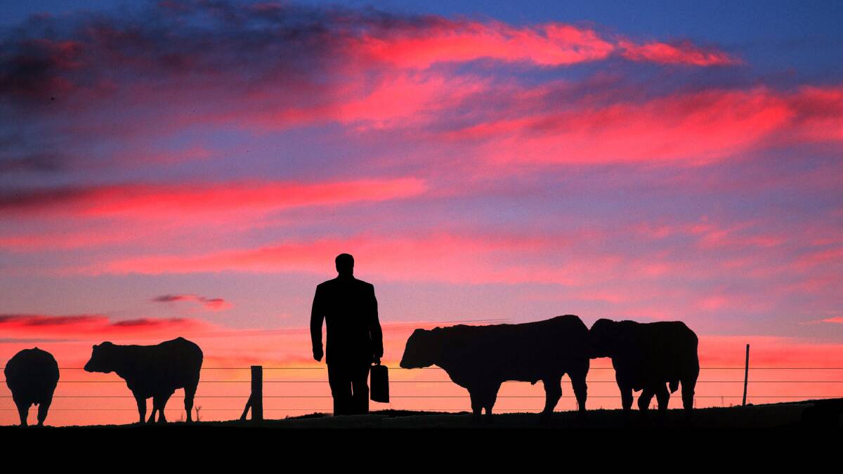 How beef producers can stay on the right side of consolidation