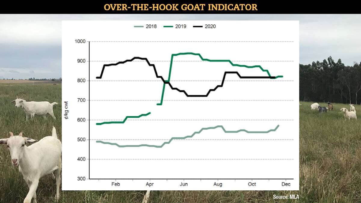 Goat slaughter jumps but prices hold