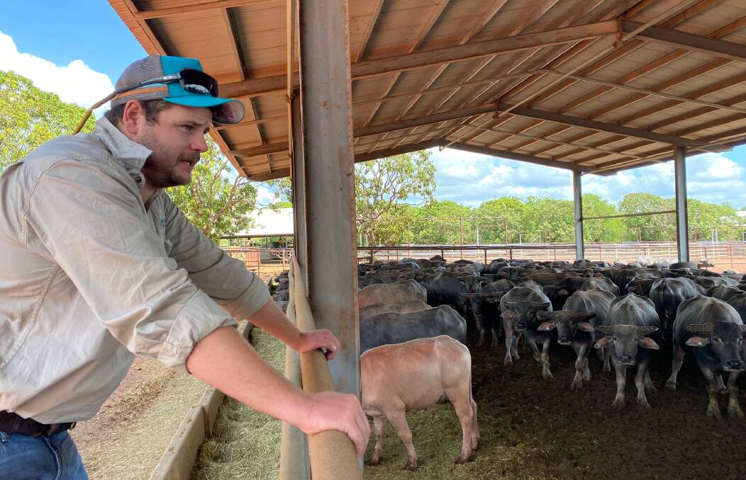 Charles Vaughan, the Queensland operations coordinator and group veterinarian for live exporters Australian Cattle Enterprises, is a finalist in the 2023 Zanda McDonald Award.