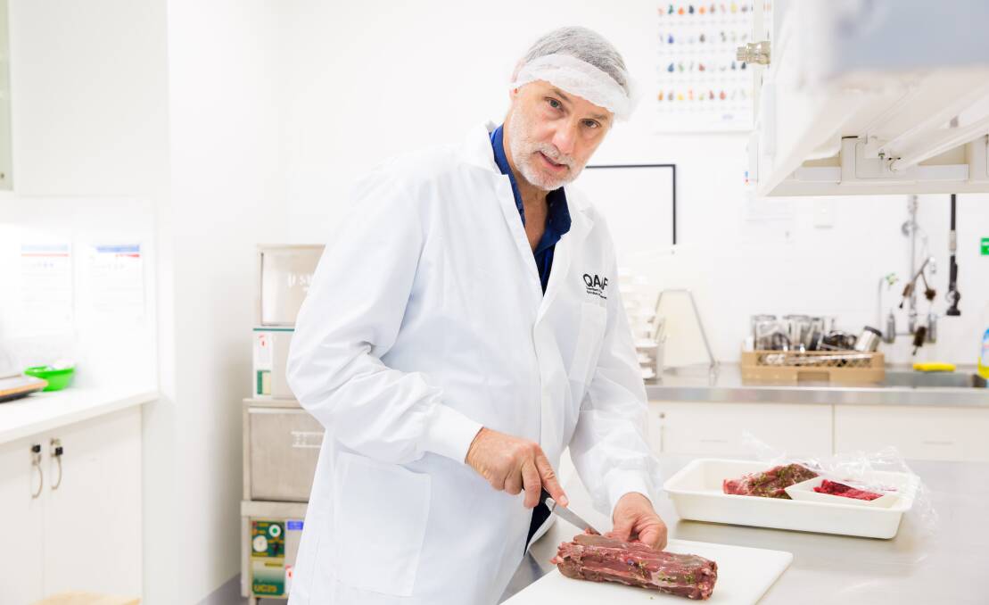 MORE TRADITIONAL: University of Queensland meat scientist Professor Louw Hoffman working with kangaroo meat.