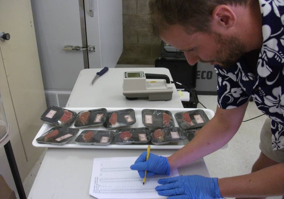 Meat research scientist Dr Ben Holman, Cowra, at work.