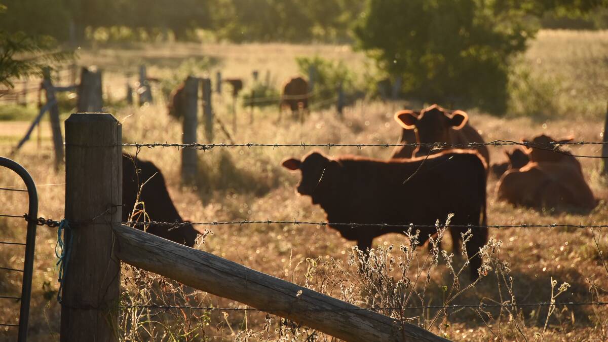 Family beef producers underpin property price boom