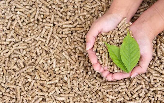 IN DEMAND: Biomass pellets, made from forest waste and woody weed harvesting, are a renewable, low-carbon solid fuel for use in thermal power stations as an alternative to coal.They are in hot demand in overseas markets. Image: SEFAAS