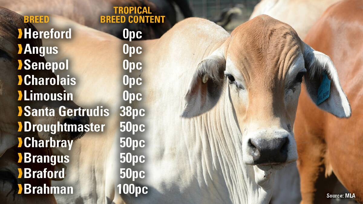 The tropical breed content for various cattle breeds. Source: MLA.