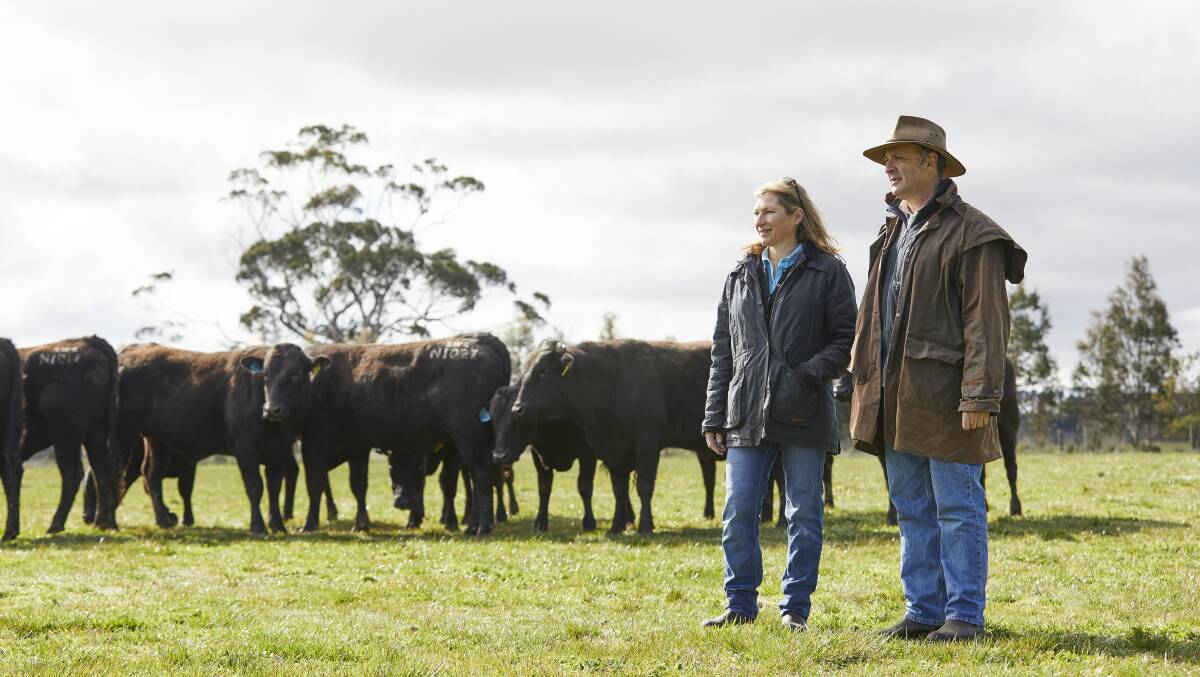 PIONEERS: Nick and Vicki Sher with their Wagyu cattle.