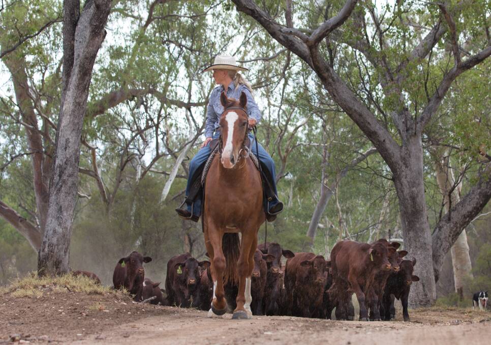 GROWING MARKET: Organic beef producer Amanda Walker, from central western Queensland.