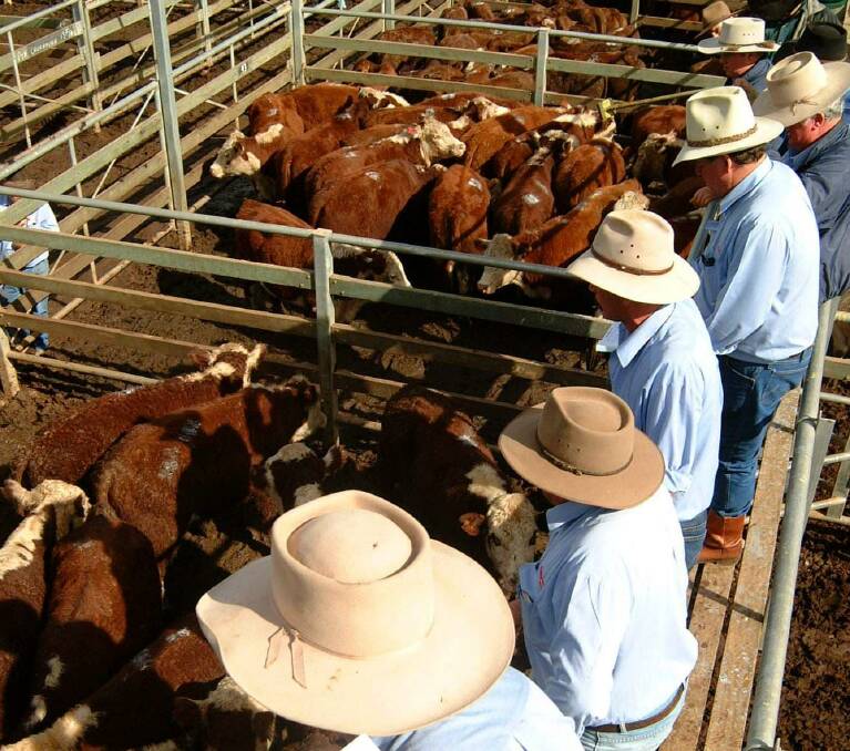 SOLD: What's a fair price? The issue of transparency in livestock price reporting is emerging again with two US bills making their way towards law. PHOTO: Sally Gall