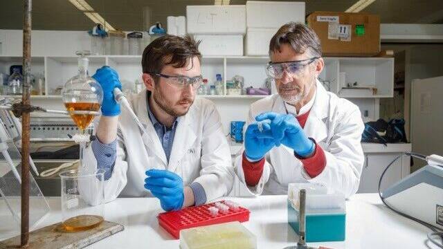  PhD candidate Tai Gardner and Associate Professor Tom Ross at work in a Tasmanian Institute of Agriculture lab.
