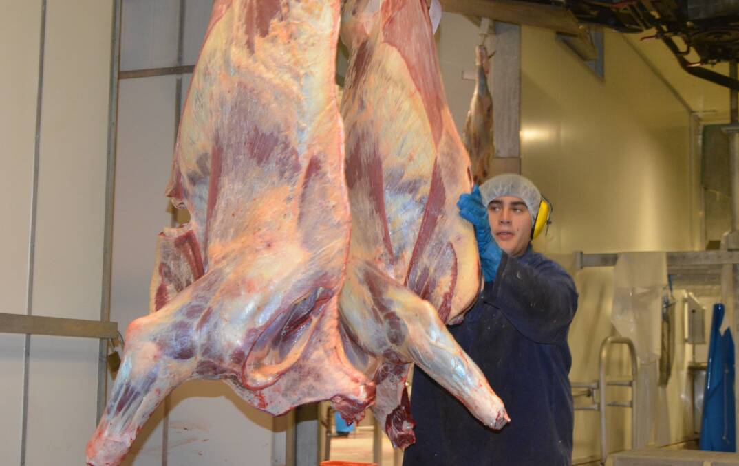 Inside the Casino beef processing plant, things are currently not as busy as its owners would like.