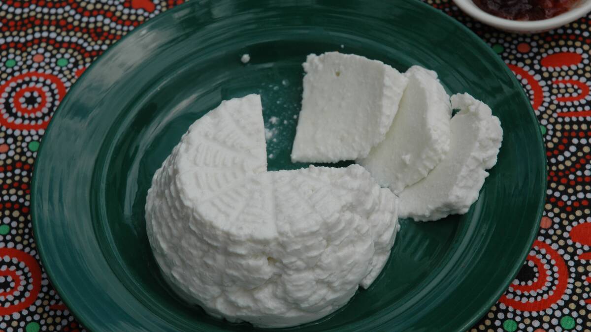 Ricotta cheese made from buffalo milk. Photo: Barry Lemcke.