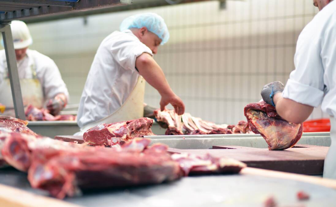 The labour shortage in meatworks will likely have big impacts for cattle producers this year, with processing capacity expected to be hamstrung. Picture by Shutterstock.