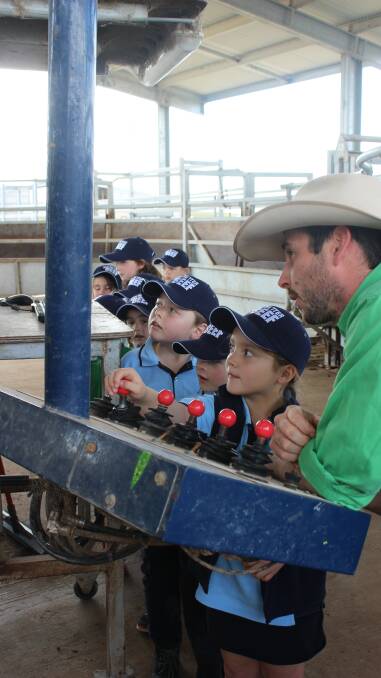 Iranda Feedlot manager Tom Green, just named the 2107 Young Lot Feeder of the Year, showing students the workings of a cattle crush. PHOTO: Kelly Nankivell