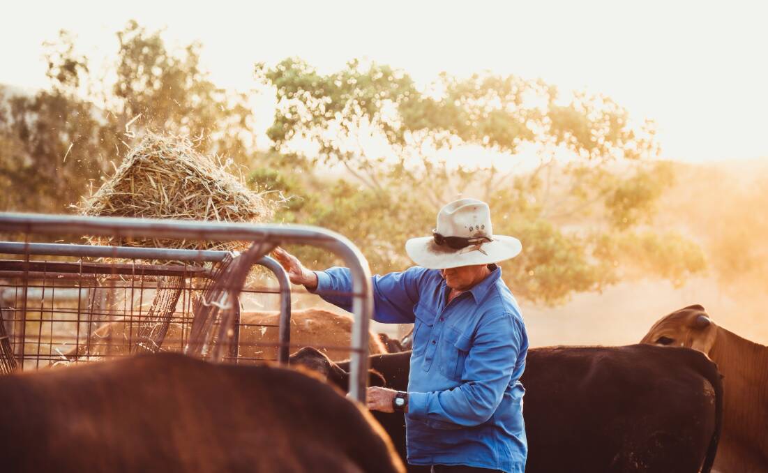 ON WITH THE JOB: Managing through, and rebuilding after, drought and natural disasters is the immediate production challenge for beef producers. PHOTO: Lucy Kinbacher. 