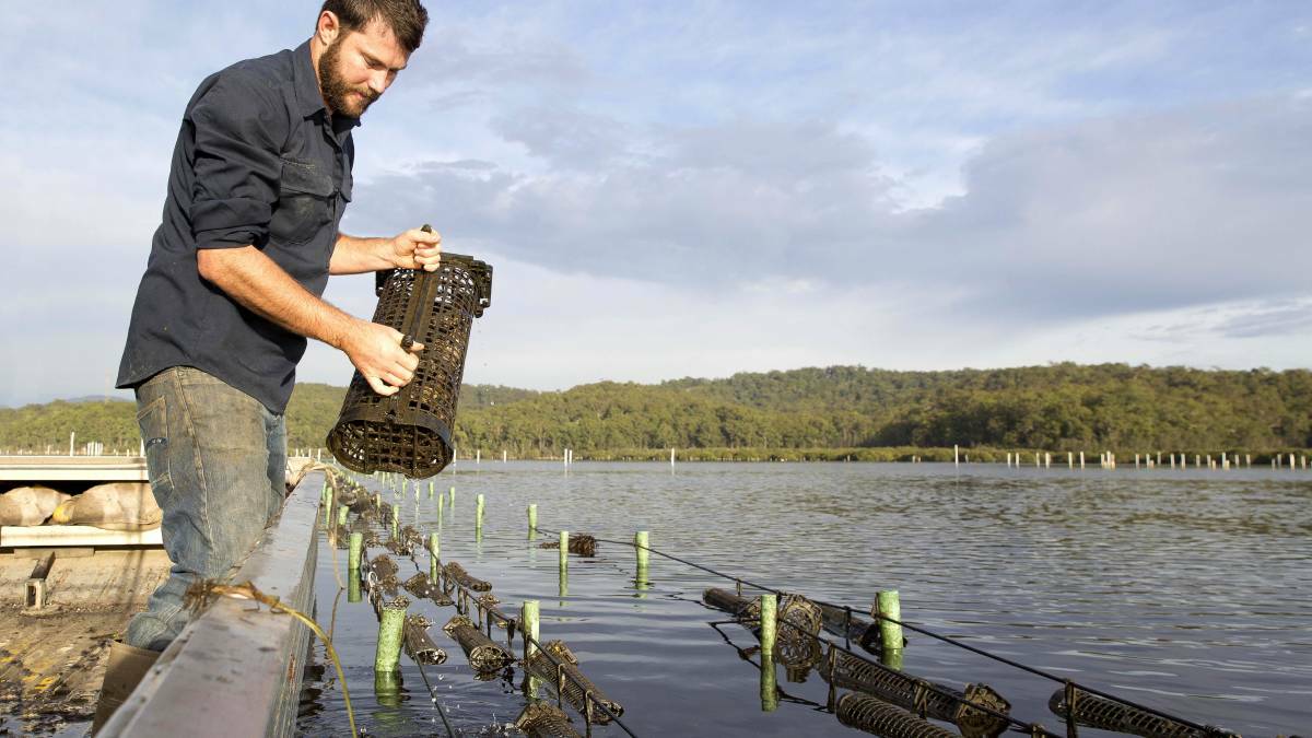 Since developing an oyster management app, Ewan McAsh was able to spend less time on the water and more time with family. 