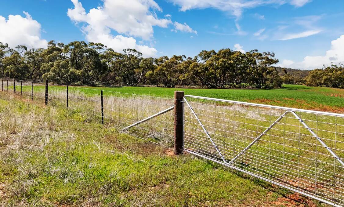 An estimated 80 per cent of the farm's fencing has been replaced over the past eight years. Pictures from Ray White Rural