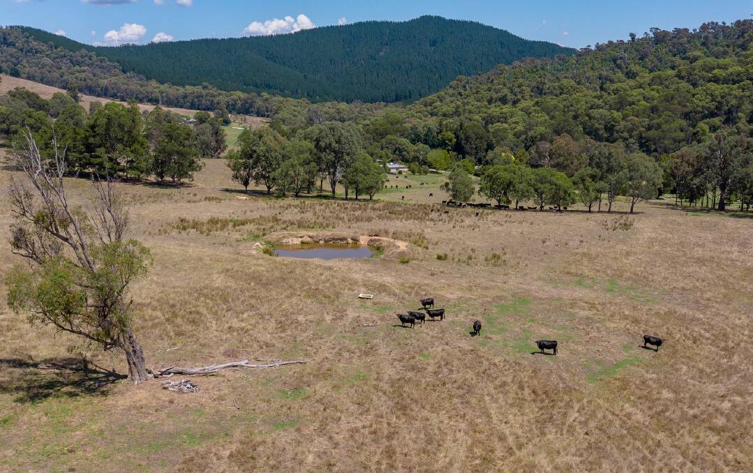 Half a million dollars tipped for High Country farm block