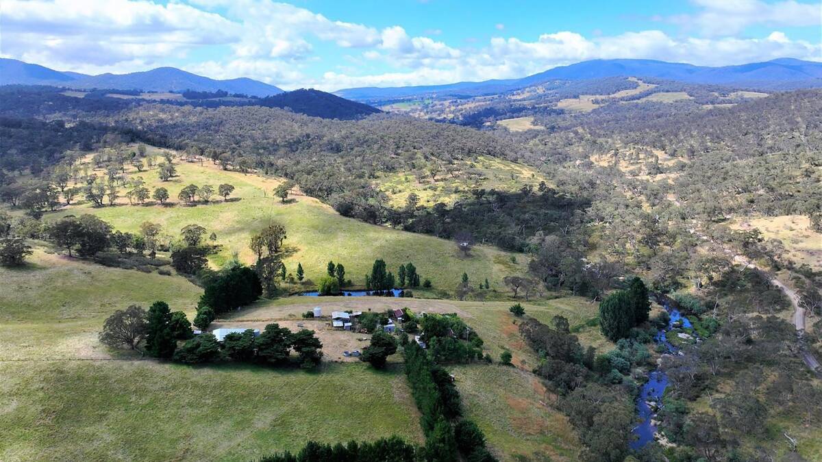 On the market in far East Gippsland, a remote farm in the high country. Pictures from Nutrien Harcourts