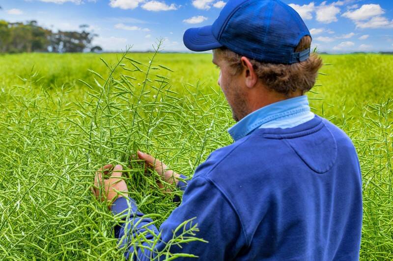 Wanderbibby is suited to cropping, prime lambs, cattle breeding and fattening as well as fodder and lucerne production. Pictures and video from Michael Stewart.