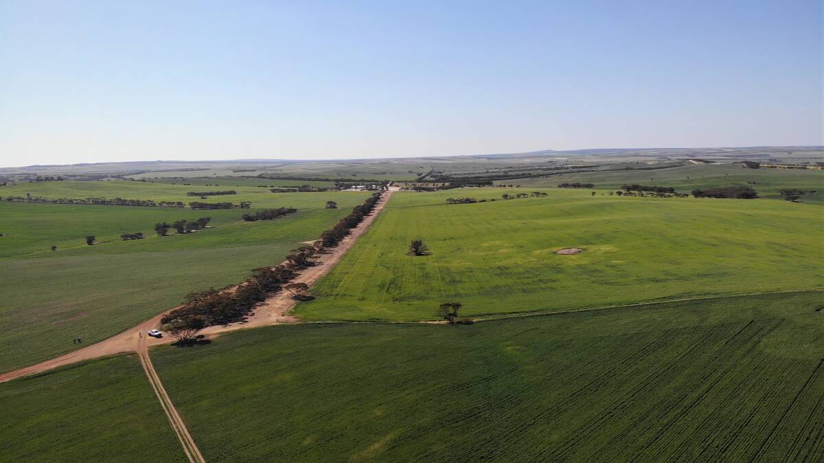 Big Eyre Peninsula cropping farm on the market after four generations