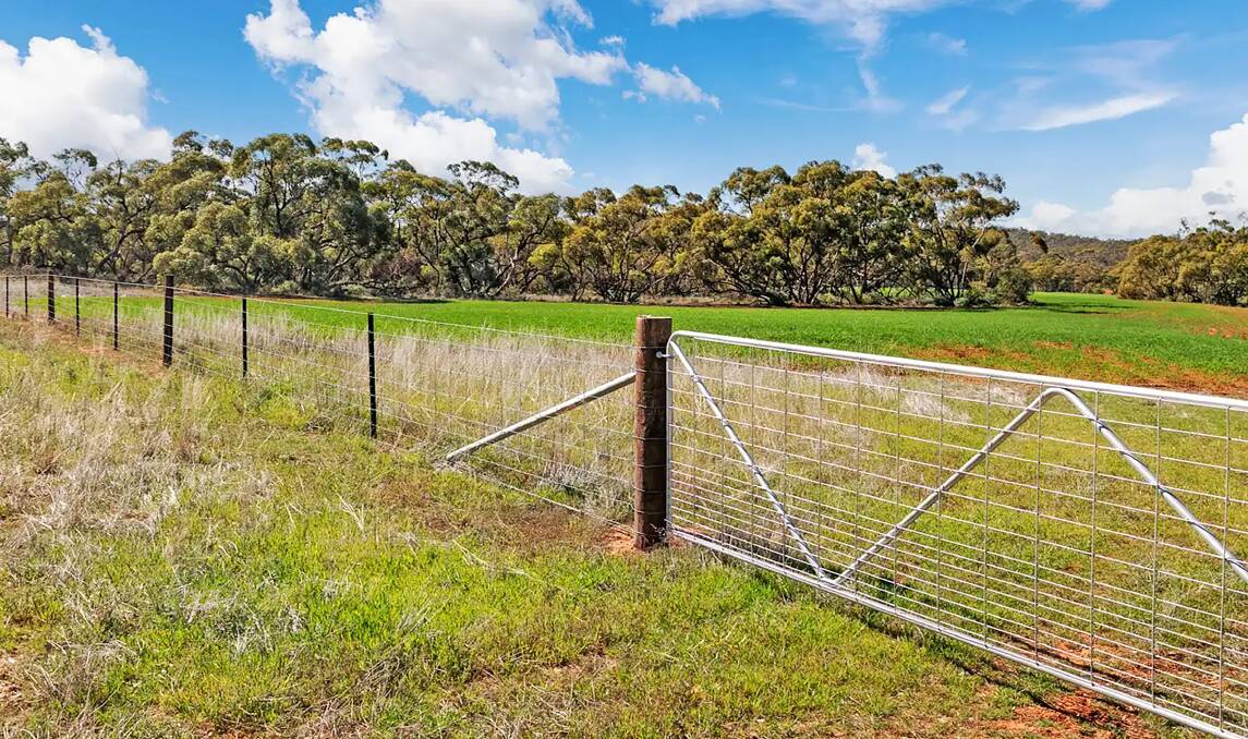 About 80 per cent of the farm's fences have been replaced over the past eight years. Pictures from Ray White