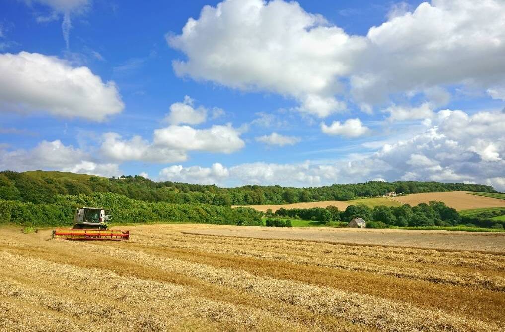 UK farmers can access a series of cash grants, a hangover from the EU. Picture: Shutterstock.