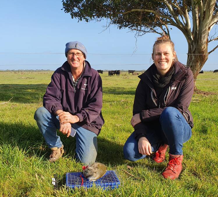 Woodrise manager Darryn Simonwith PIRSA sustainable agricultural consultant Claire Dennerley checking dung beetle traps on the property. Picture from Michelle Sargent.