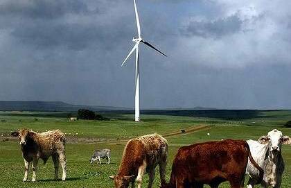 Renewables row - farms versus power politics