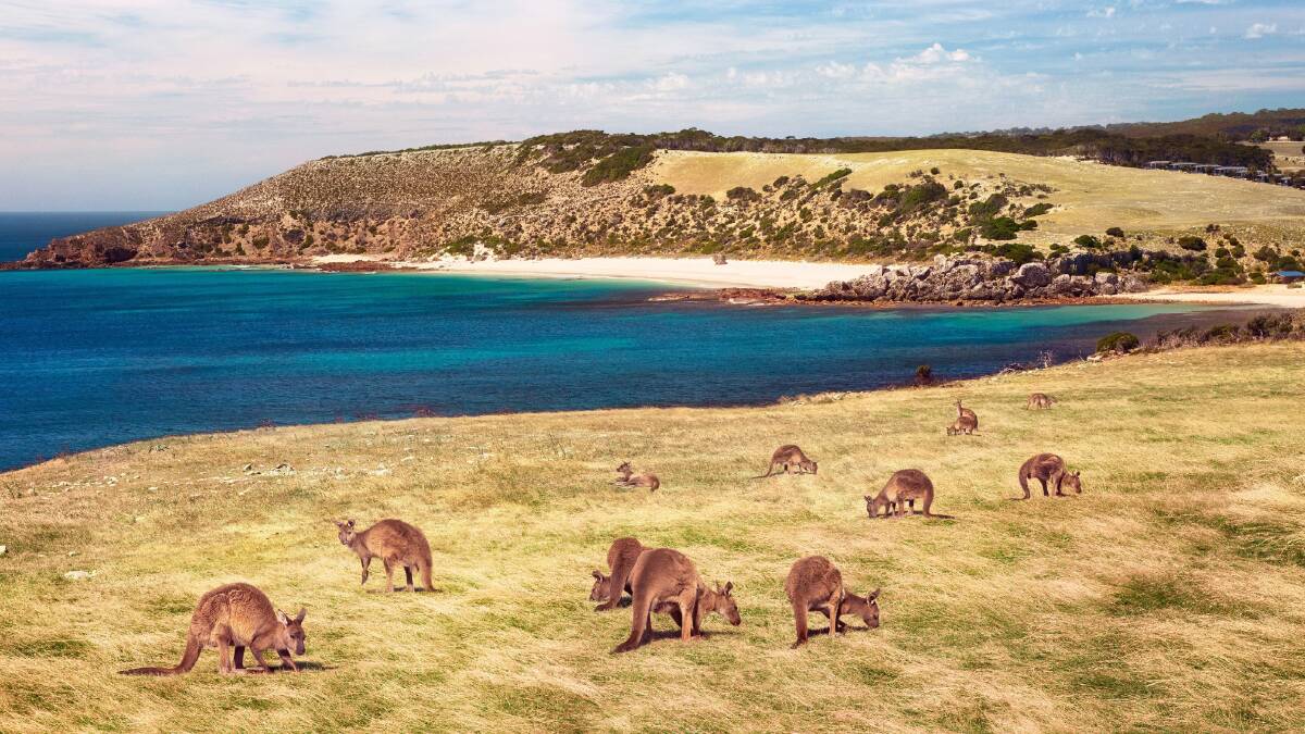 Stokes Bay is little known no more after being named the best beach in Australia for 2023. Picture from Tourism Australia