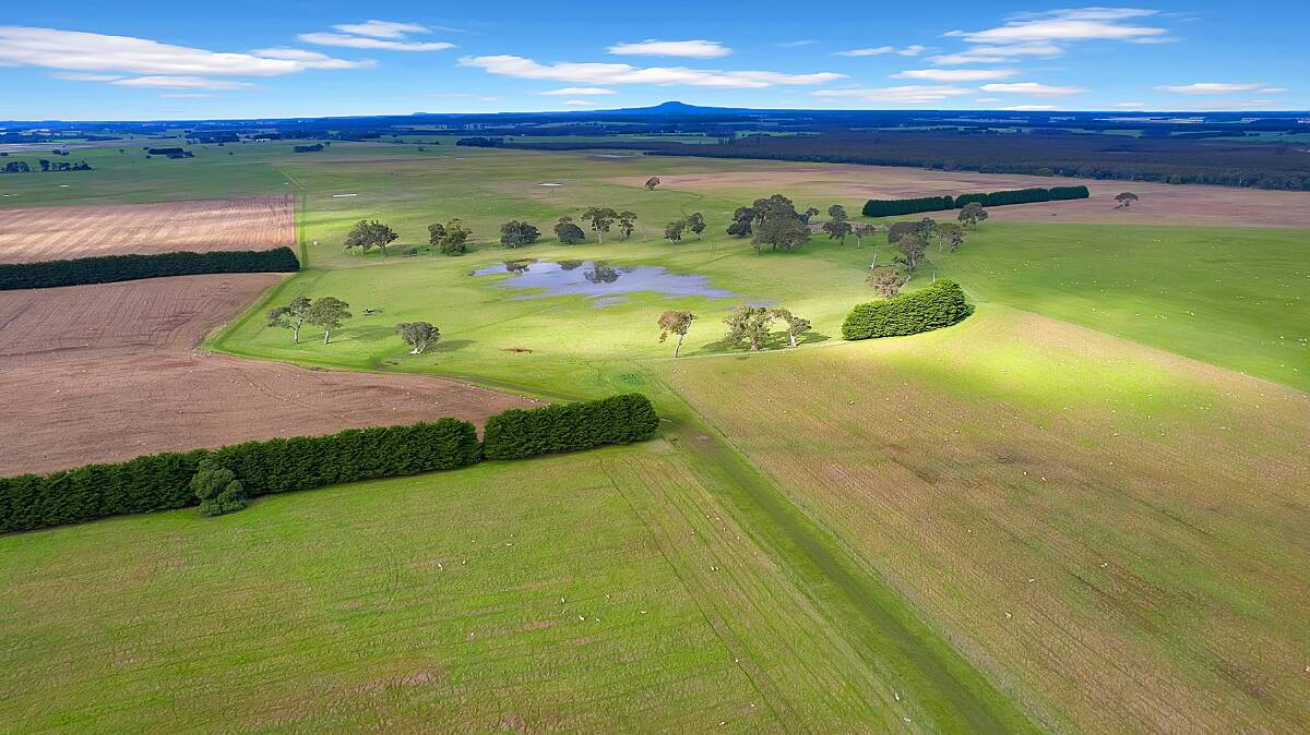High rainfall farm for sale near Hamilton. Pictures and video from Charles Stewart