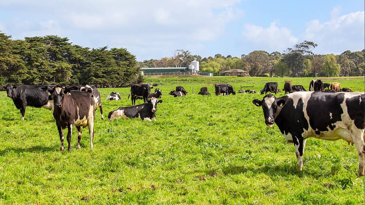 Small Victoria dairy still packs a punch