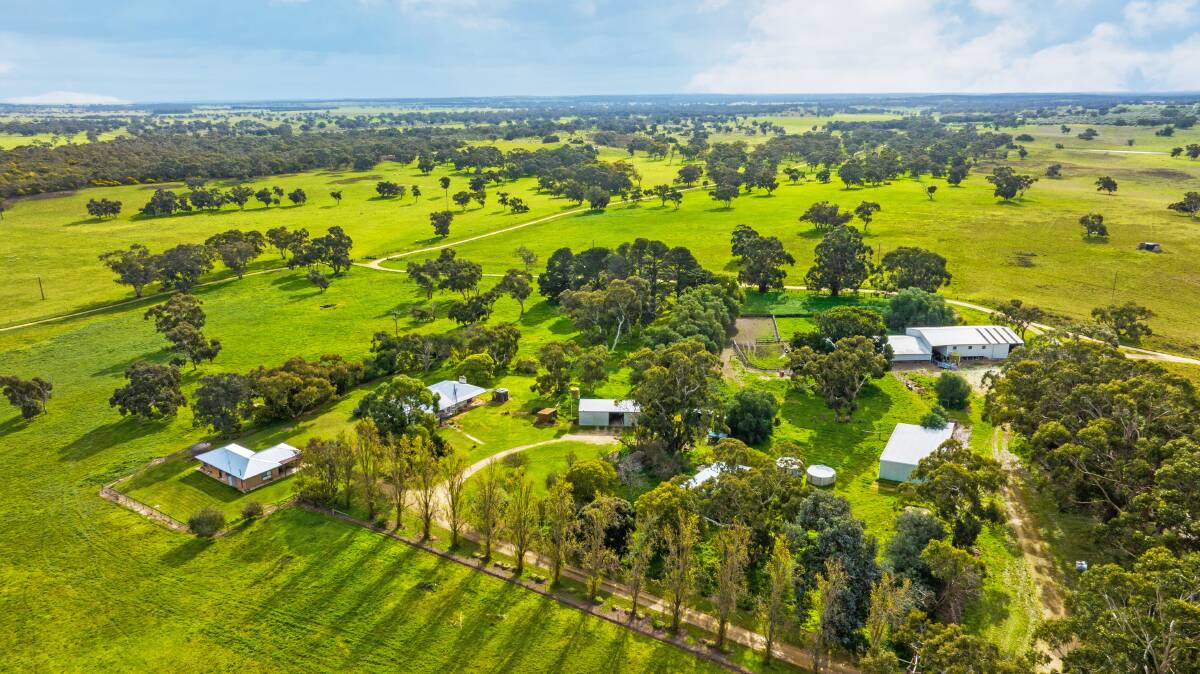 Big grazing farm sale in South East SA: six farms rolled into one