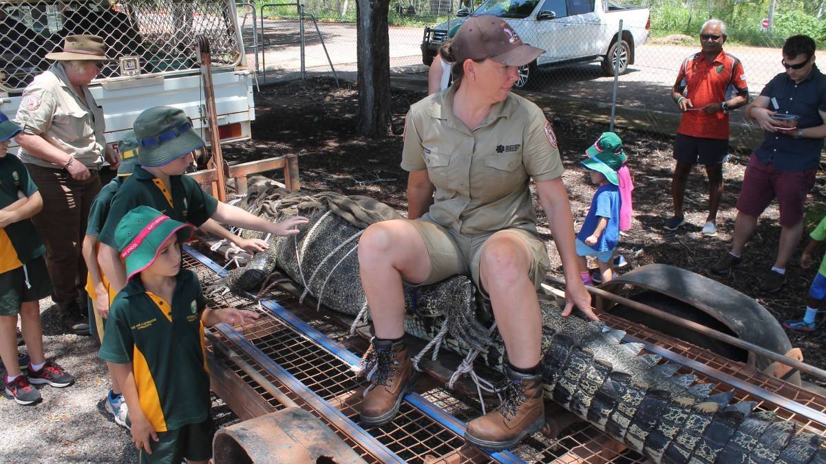 One of my favourite pictures from my time in the Territory, a wildlife ranger sitting atop a captured 3.9 metre saltie while demonstrating to Katherine school kids how big they are grow and keeping little bodies and hands being whacked by its tail. 