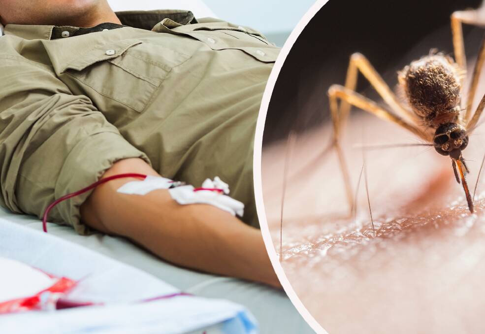 A blood testing survey has found the Japanese encephalitis virus outbreak was much worse than originally thought.