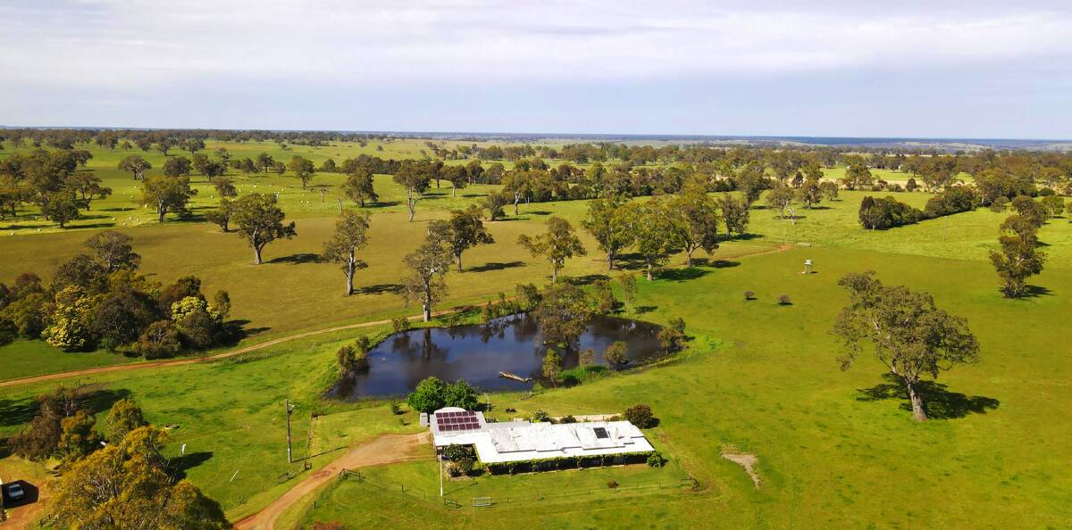 An on-farm auction will be held for the February sale of Majors Creek near Casterton. Pictures from TDC.