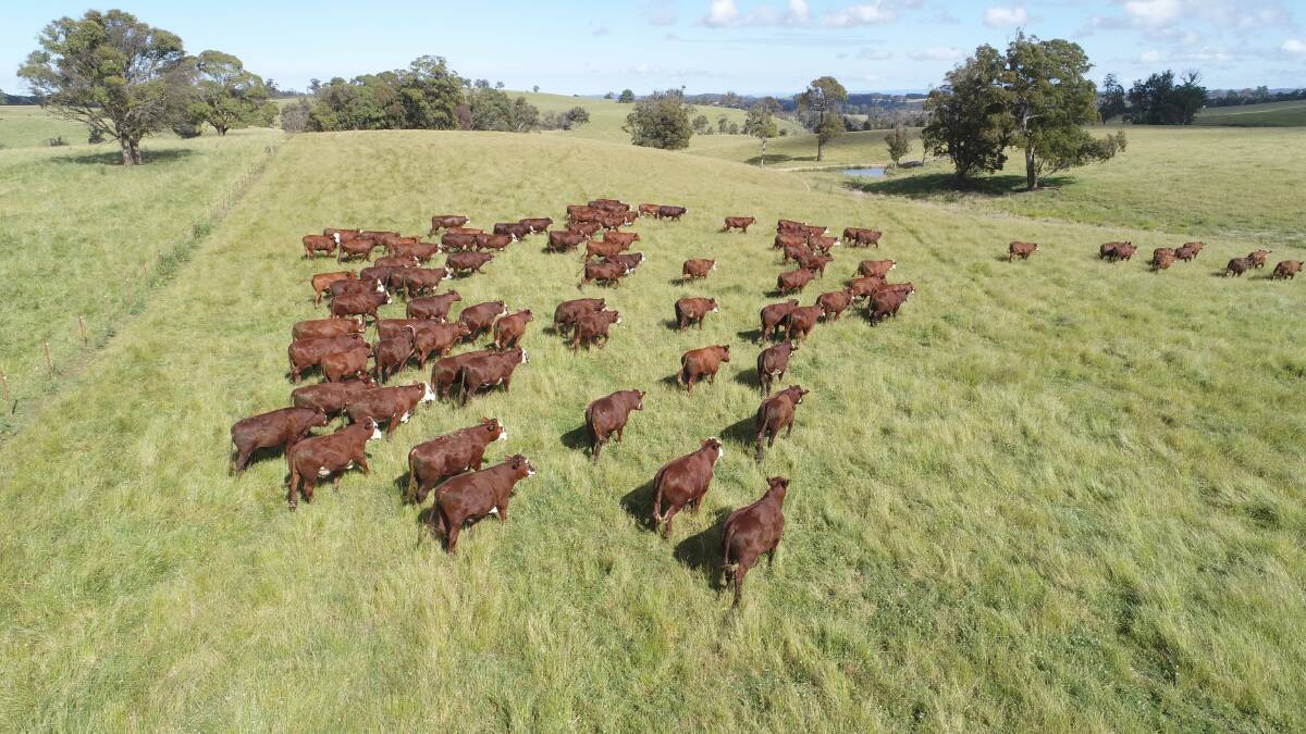Greg Upton has sold his Upton Farms to a Queensland beef family operation. Pictures: Meares and Associates.
