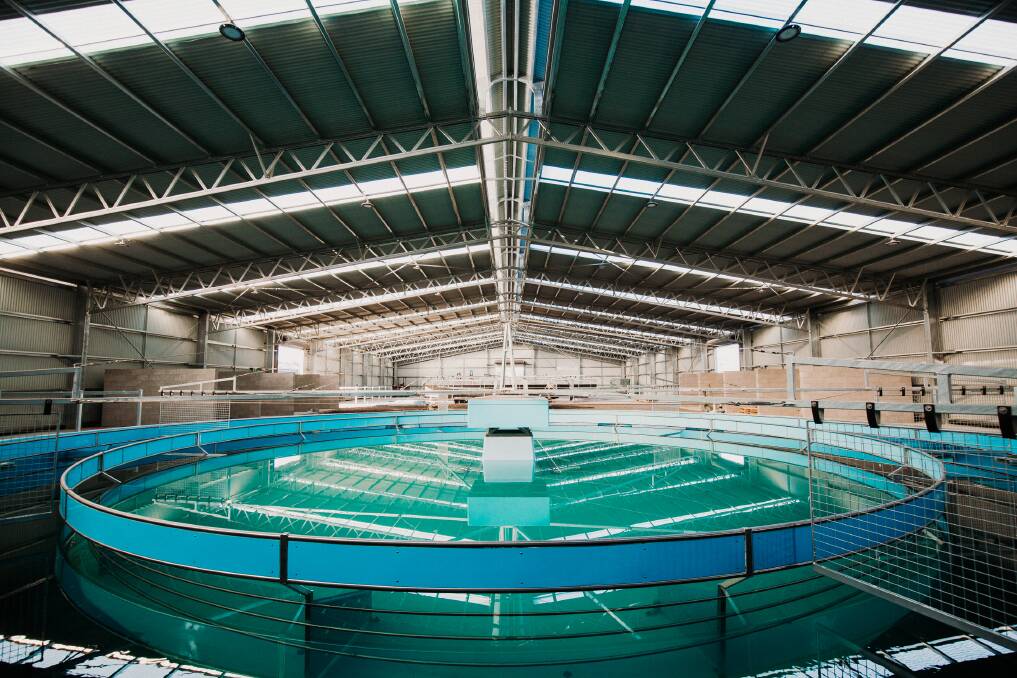 TOP QUALITY: The stables feature a large indoor facility complete with an Aquaciser water walker. Pictures: supplied.