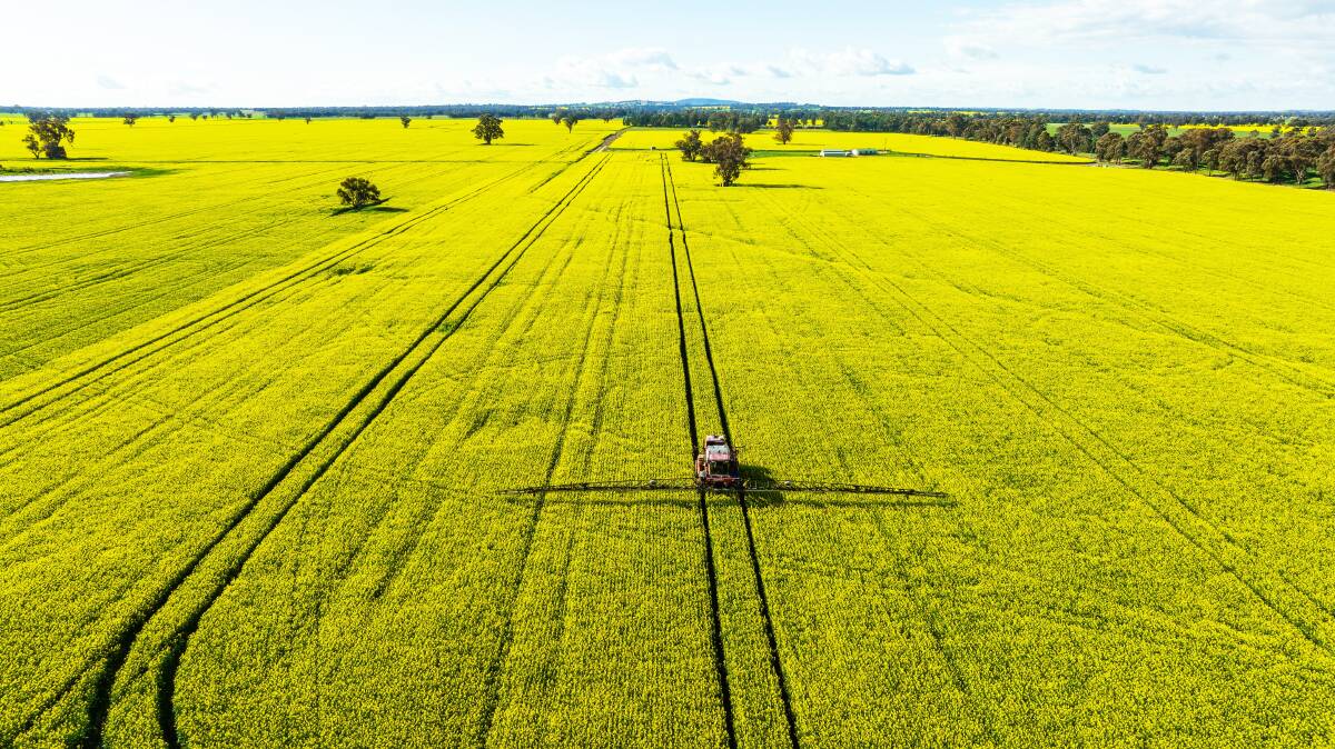 The aggregation takes in 3011 hectares and has historically been considered a powerhouse for cropping, dryland farming and grazing. Pictures from Nutrien Harcourts.