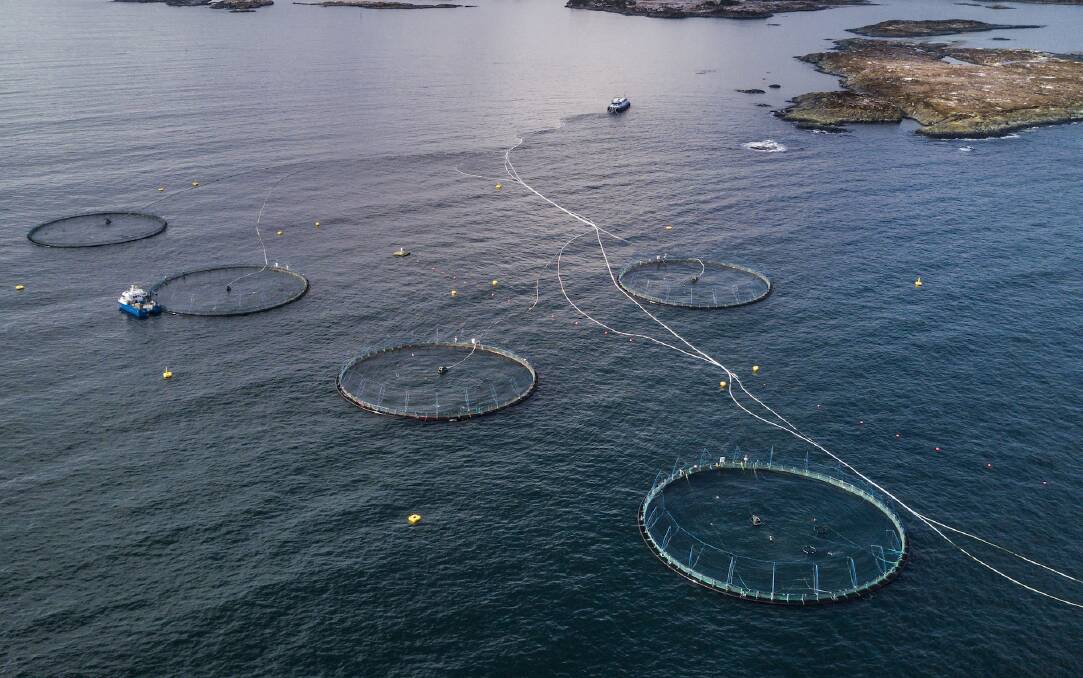 Brazilian company JBS has shareholder approval to take over Huon Aquaculture in Tasmania.