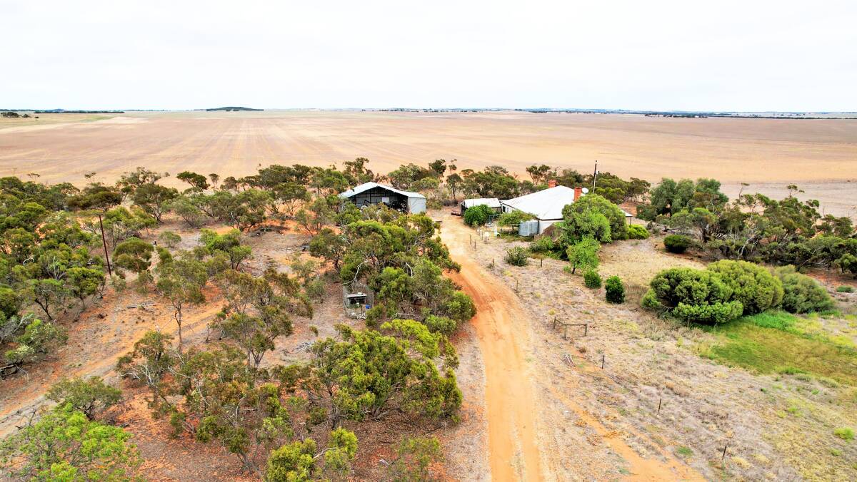 Two mixed farms in the Murray-Mallee district's Borrika district are on the market. Pictures: Elders Real Estate.