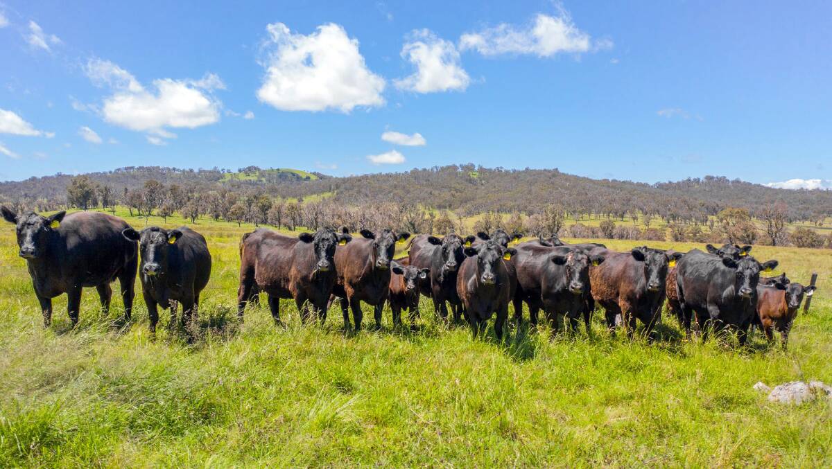 Record high commodity prices, particularly in beef and cropping have seen land prices soar around Australia. 