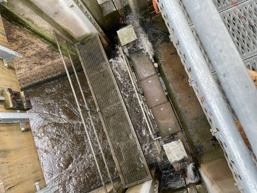Looking down at the blockage preventing the doors from fully closing at a big regulator at Torrumbarry. Picture from Goulburn Murray Water.