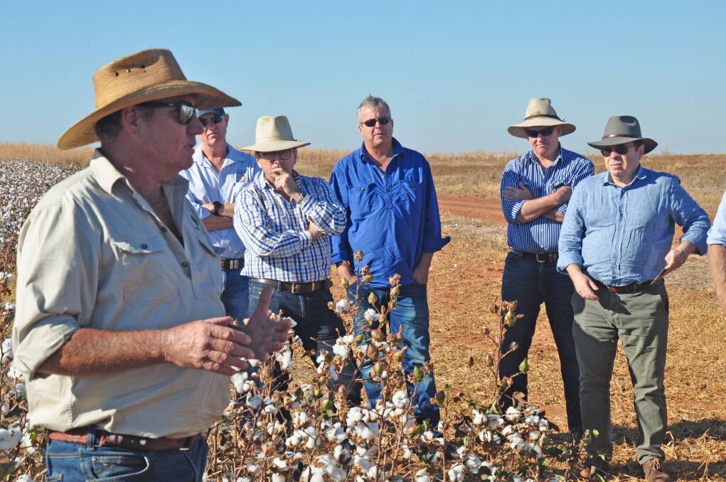 COTTON PUSH: Tipperary Station's Bruce Connolly has been keen for the NT to fast track plantings of cotton.