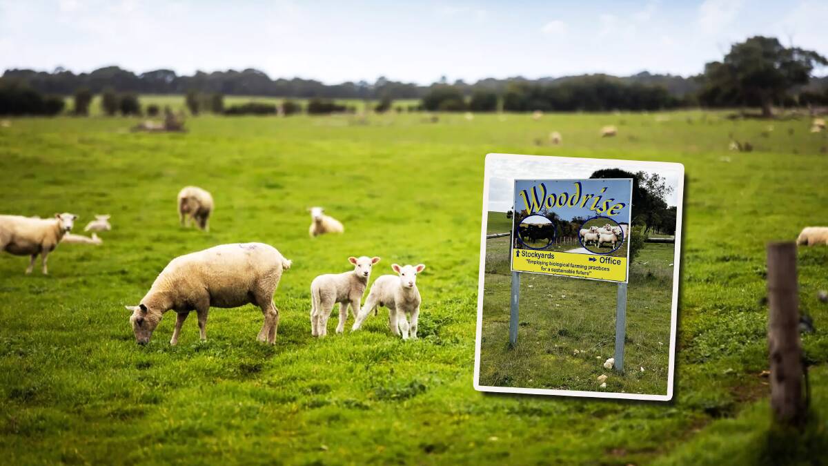 The big grazing property Woodrise on the Limestone Coast is associated with the famous Michell wool name. Pictures from Colliers International. 